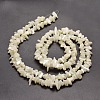 Natural White Mother of Pearl Shell Chip Bead Strands X-G-M205-63-3