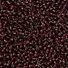 MIYUKI Delica Beads SEED-X0054-DB1685-3