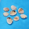 Natural Clam Shell Beads BSHE-S114-1