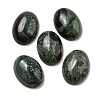 Natural Kambaba Jasper Cabochons G-C115-01A-22-1