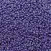 MIYUKI Round Rocailles Beads SEED-X0055-RR0432-3