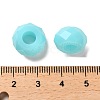 Resin European Beads RESI-B020-06C-3