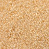 MIYUKI Round Rocailles Beads SEED-JP0008-RR0201-3