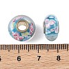 Lampwork & Brass Core European Beads LAMP-P019-01P-10-3