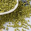 Baking Paint Glass Seed Beads X-SEED-S042-15A-07-1