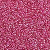 6/0 Glass Seed Beads SEED-A016-4mm-206-2