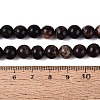 Natural Biotite Beads Strands G-Q616-01C-5