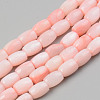 Natural Freshwater Shell Beads Strand X-SHEL-T017-39B-1