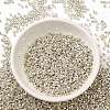 Electroplate Glass Seed Beads SEED-S042-01B-08-2