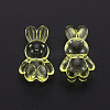 Transparent Acrylic Beads LS-MACR-S373-81-B06-3