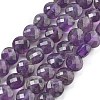 Natural Amethyst Beads Strands G-C179-A05-02-2