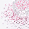 6/0 Glass Seed Beads SEED-T005-14-B18-1