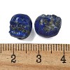 Dyed Natural Lapis Lazuli Beads G-K387-02H-3