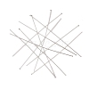 304 Stainless Steel Flat Head Pins STAS-Z089-03P-09-2