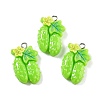 Opaque Resin Pendants RESI-S013-02K-1