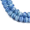 Handmade Lampwork Beads Strands LAMP-T007-13P-3