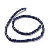 Natural Sodalite Beads Strands G-P468-19-3