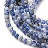 Natural Blue Spot Jasper Beads Strands G-Z116-A02-3mm-4