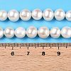 Natural Cultured Freshwater Pearl Beads Strands PEAR-N014-07J-5