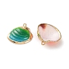 Sea Shell Pendants SSHEL-B002-07G-01-2