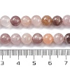 Natural Quartz Beads Strands G-P530-B02-02-5