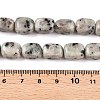 Natural Sesame Jasper/Kiwi Jasper Beads Strands G-T138-80-5