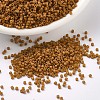 MIYUKI Delica Beads SEED-MY11-DB0653-1