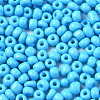 6/0 Glass Seed Beads SEED-S058-A-F298-3
