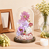 Arch Glass Dome Cover AJEW-WH0596-866D-01-4
