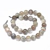 Natural Grey Moonstone Beads Strands G-F632-29-03-1