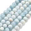 Natural Aquamarine Beads Strands G-R446-10mm-05-01-5