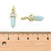 Natural Flower Amazonite Double Terminal Pointed Pendant G-H097-01G-01-3