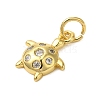 Rack Plating Brass Micro Pave Cubic Zirconia Charms KK-P279-12G-2