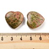 Heart Natural Unakite Worry Stone G-C134-06A-12-3