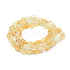 Natural Citrine Beads Strands X-G-P331-03A-2