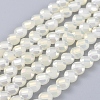 Electroplate Glass Beads Strands EGLA-J149-C-6mm-FR02-1