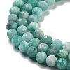 Natural Amazonite Beads Strands G-G140-A18-03-4