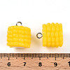 Resin Iron Pendants RESI-T057-23-3