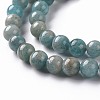 Natural Amazonite Beads Strands G-S333-6mm-005-3