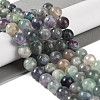 Natural Fluorite Beads Strands G-P530-B04-04-2