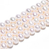 Natural Cultured Freshwater Pearl Beads Strands PEAR-N016-05B-1