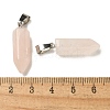 Natural Rose Quartz Pendants G-Z067-07P-09-3