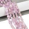 Natural Kunzite Beads Strands G-A254-B02-01-2