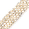 Electroplated Natural Freshwater Shell Beads Strands BSHE-G036-22-1