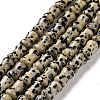 Natural Dalmatian Jasper  Beads Strands G-D481-04-1