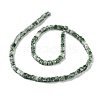 Natural Green Spot Jasper Beads Strands G-F631-K18-2
