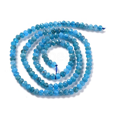 Natural Apatite Beads Strands X-G-K312-20B-1