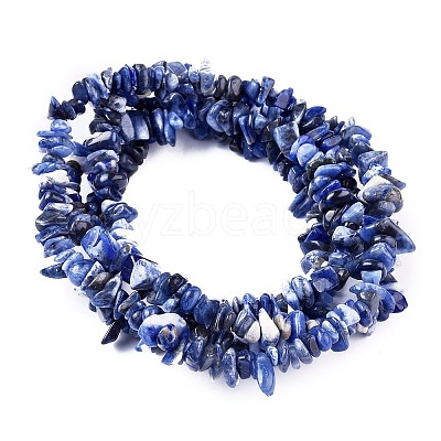 Natural Sodalite Chips Beads Strands LS-F024-1
