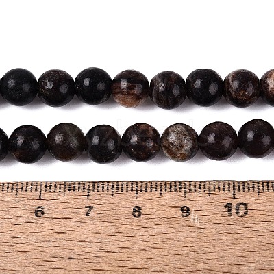 Natural Biotite Beads Strands G-Q616-01C-1