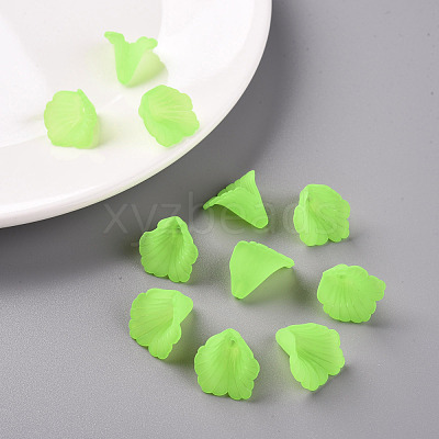 Transparent Acrylic Bead Caps PL551-C18-1